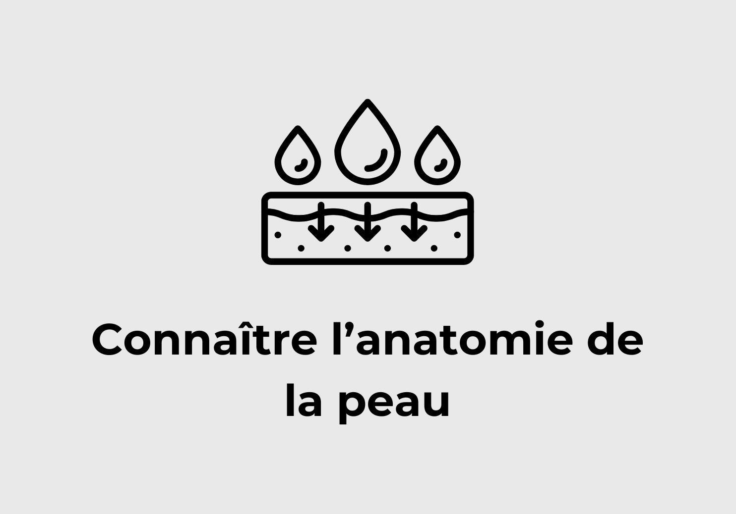 FICHE FORMATION 5